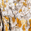 Notecard 2942