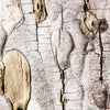 Notecard 3039