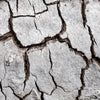Notecard 3044