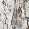 Notecard 3087