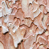 Notecard 5292