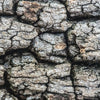 Notecard 5644