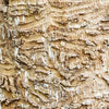 Notecard 5661
