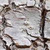 Notecard 6136