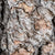 Notecard 6157