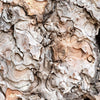 Notecard 6160