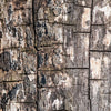 Notecard 6220