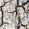 Notecard 6240
